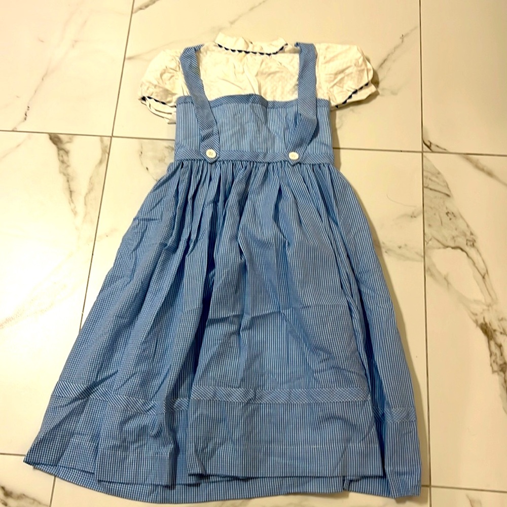 Hand made Dorthy costume wizard of oz